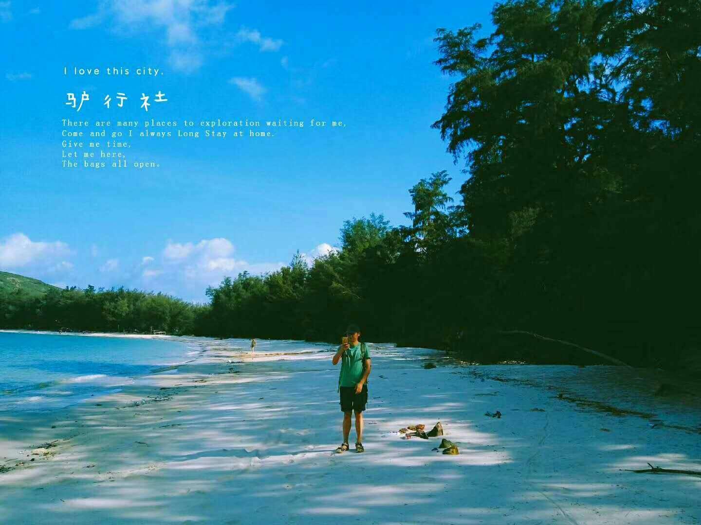 车内的蜜蜂为什么一开窗就飞走？游戏画面